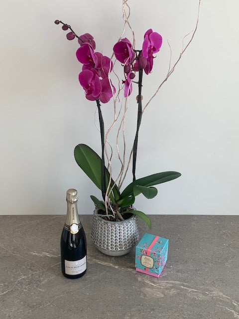 Cassandra Pink Orchid Giftset